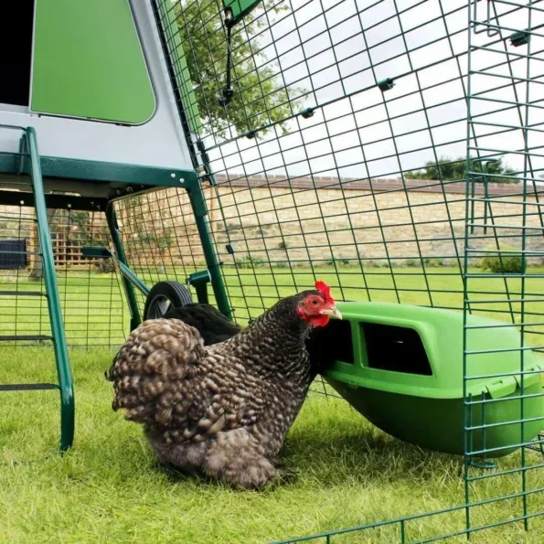💥Last Day Clearance Sale💥 – Best Chicken Coop - Clearance Discount Mall