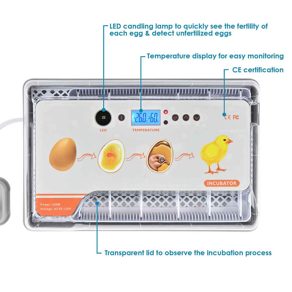 Yescom 12 Egg Digital Incubator Auto Turning LED Candling Hatcher