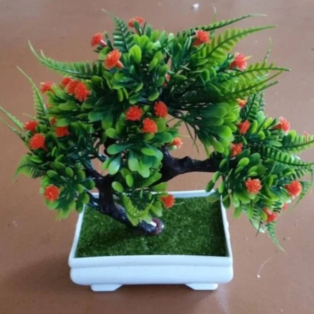 Gorgeous Bonsai with Very Attractive Pot -Excellent Gift...