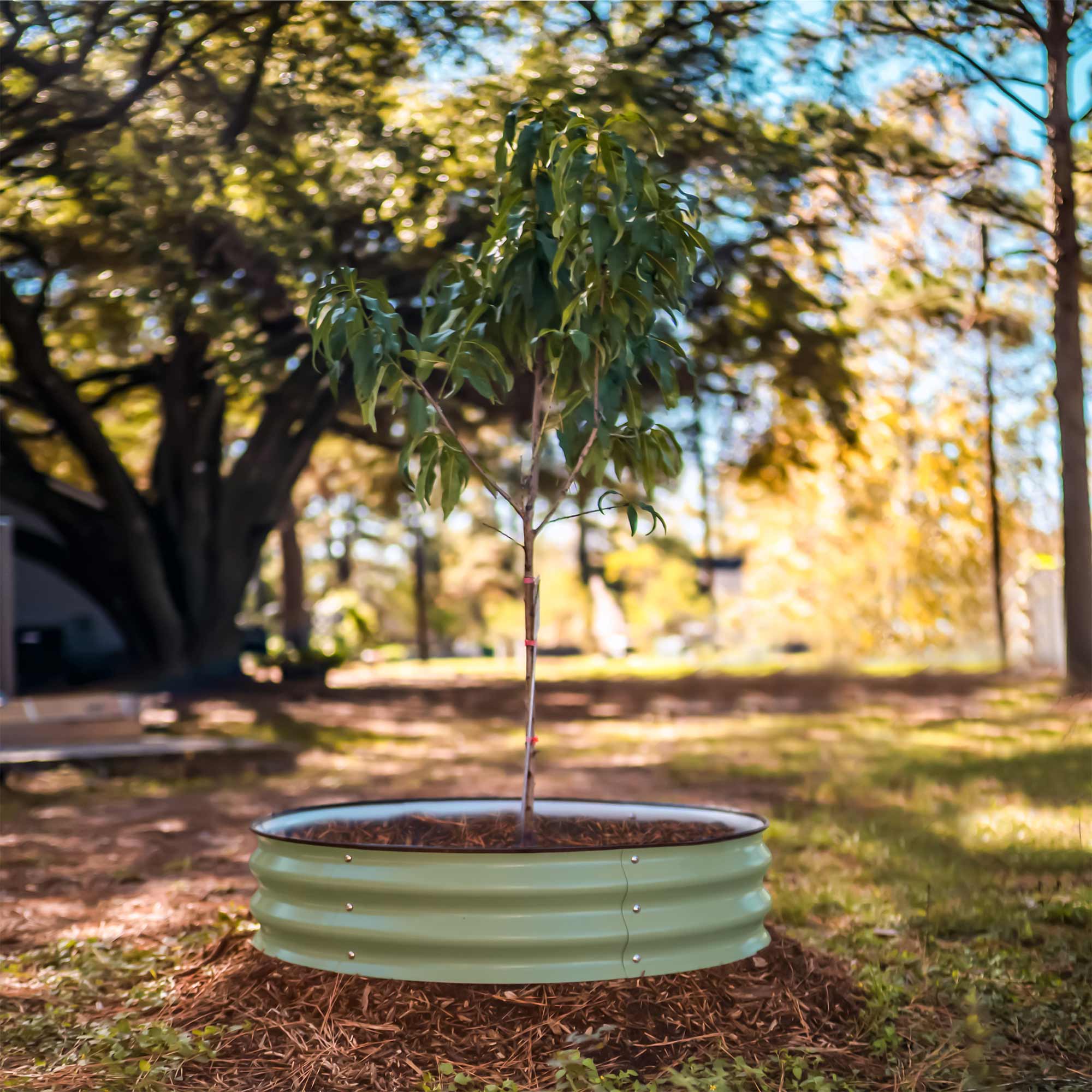 Tree Surround & Watering Ring Kit
