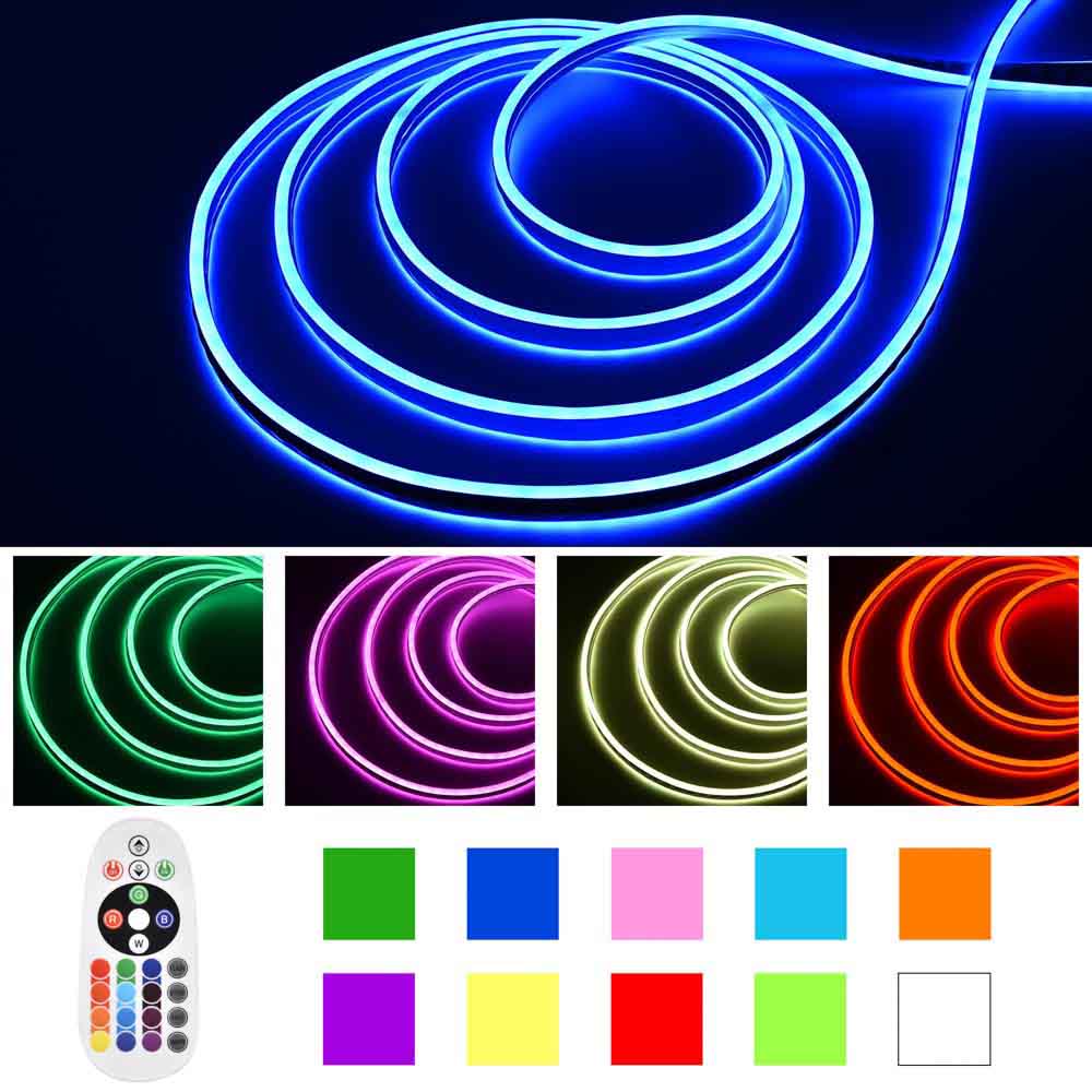 DELight LED Controller 24 Keys Remote for Neon Rope Light 16 Colors