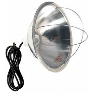 Brooder Lamp 10-In. Reflector 120-Volt 300-Watts