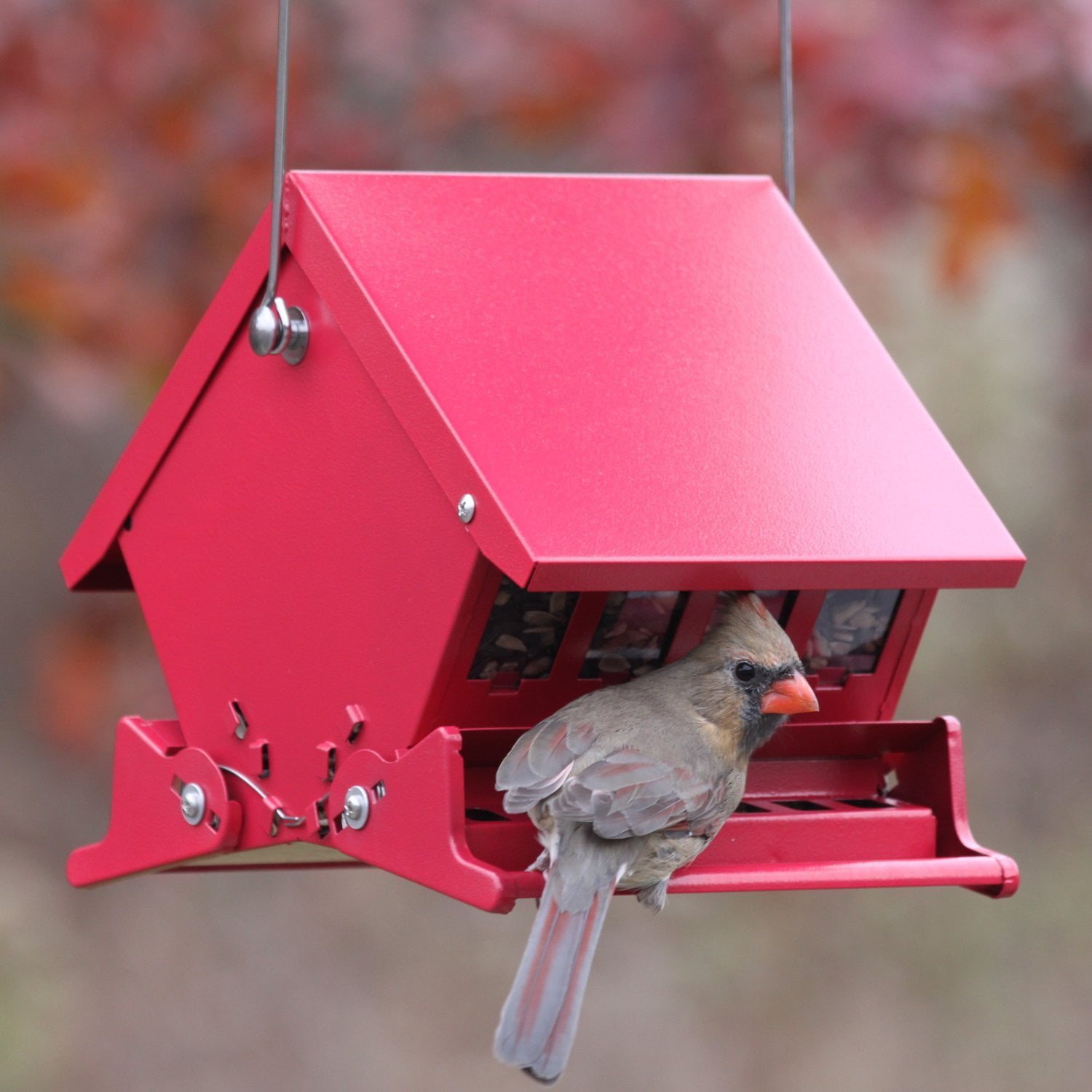 Audubon Mini Absolute Squirrel-Resistant Bird Feeder Model 7458