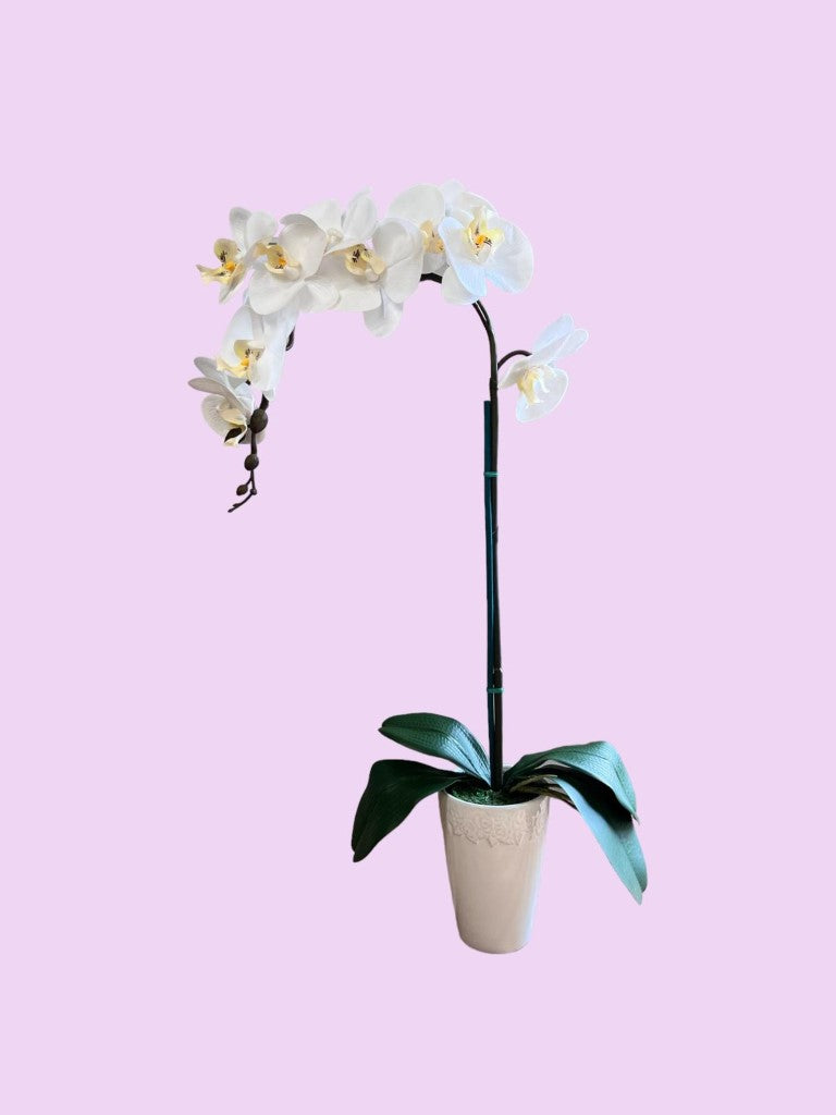 Stunning Artificial Orchids in Conical Pot