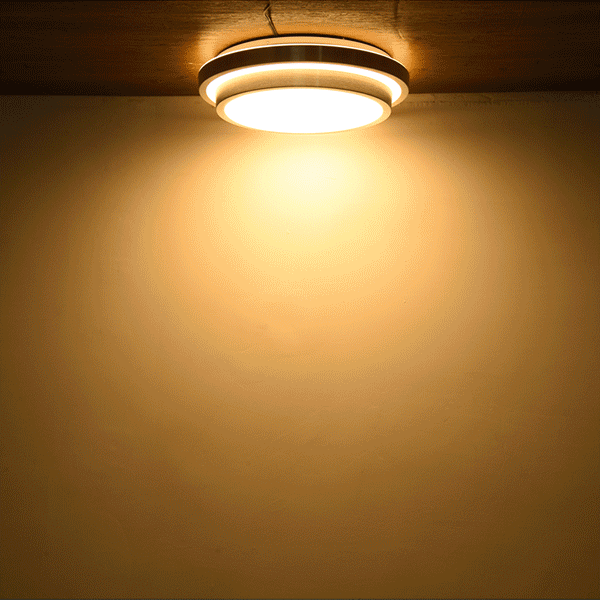 Yescom 24w 16in Dia Flush Mount LED Ceiling Light Fixture