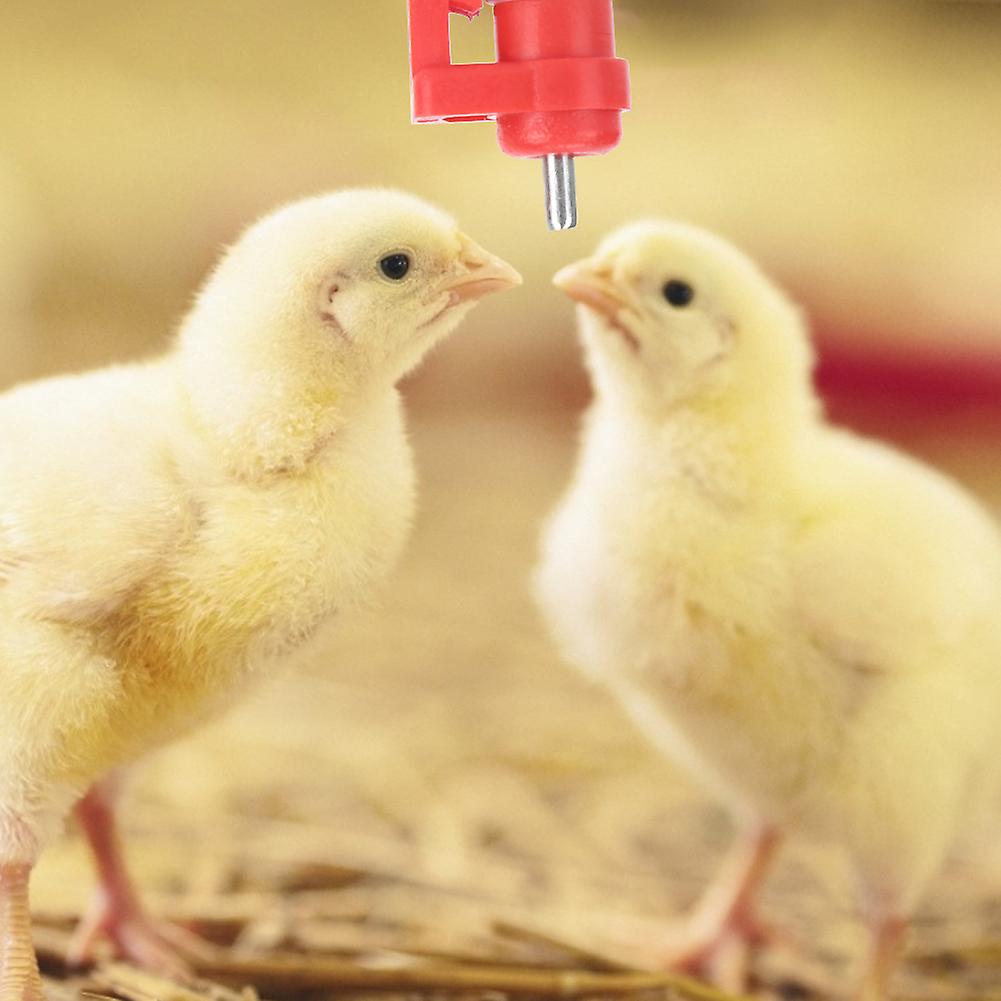 20pcs Chicken Automatic Drinker Buckle Type Poultry Waterer Drinking Nipple Farm Accessories