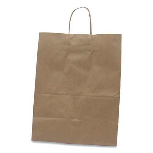 Kari Out Kraft Paper Bags | 13