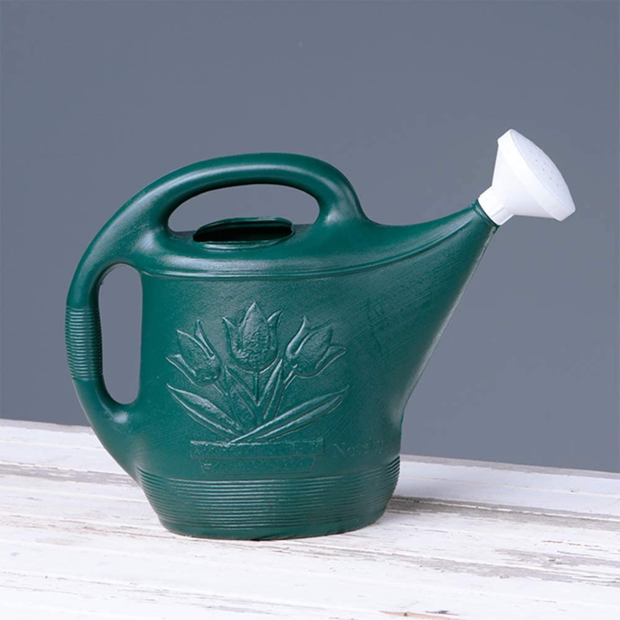 NOVELTY MFG CO Watering Can, Green Plastic, 2-Gals. 30301