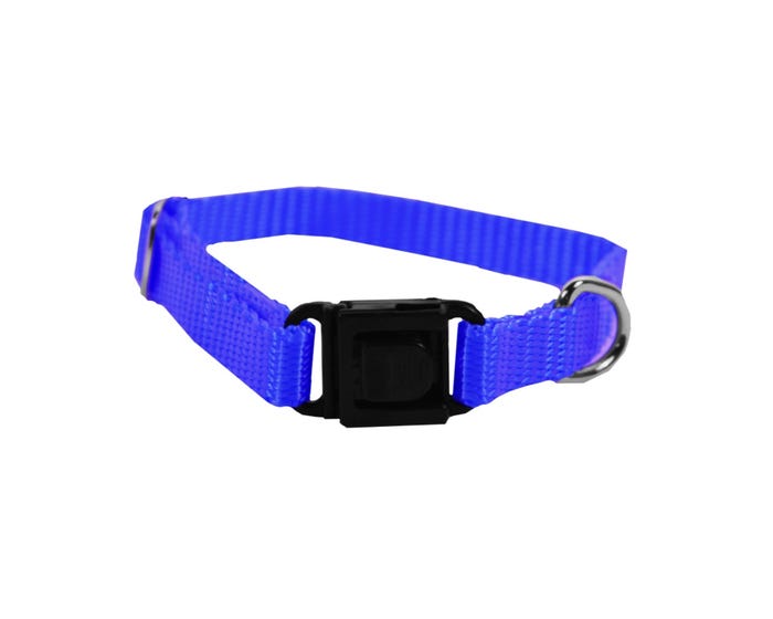 Scott Pet  Adjustable Xtra-Small Dog Collar， Blue - 1424BLXS
