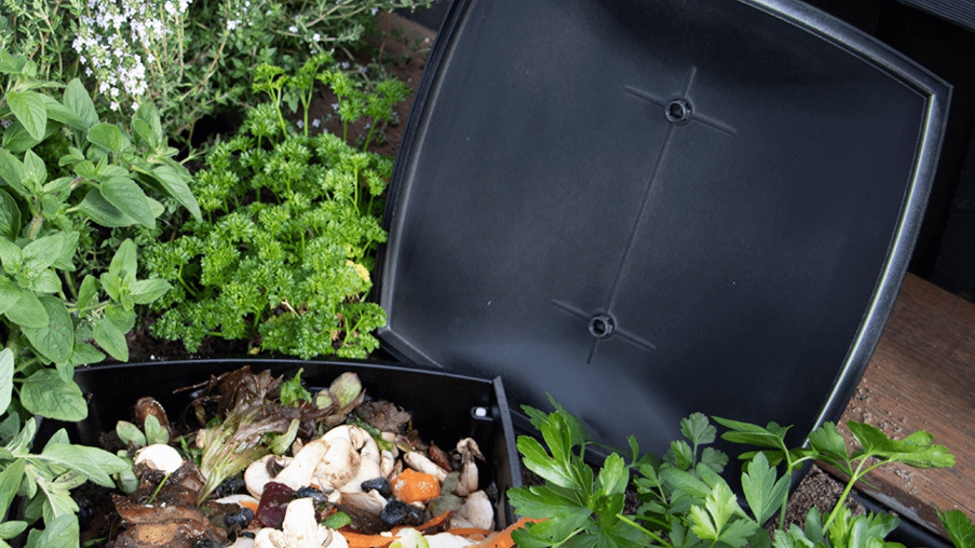 The ‘Worm It All’ Worm Composter Bin - 11” x 11” x 12.6” Composting Box (Soil Enrichment)