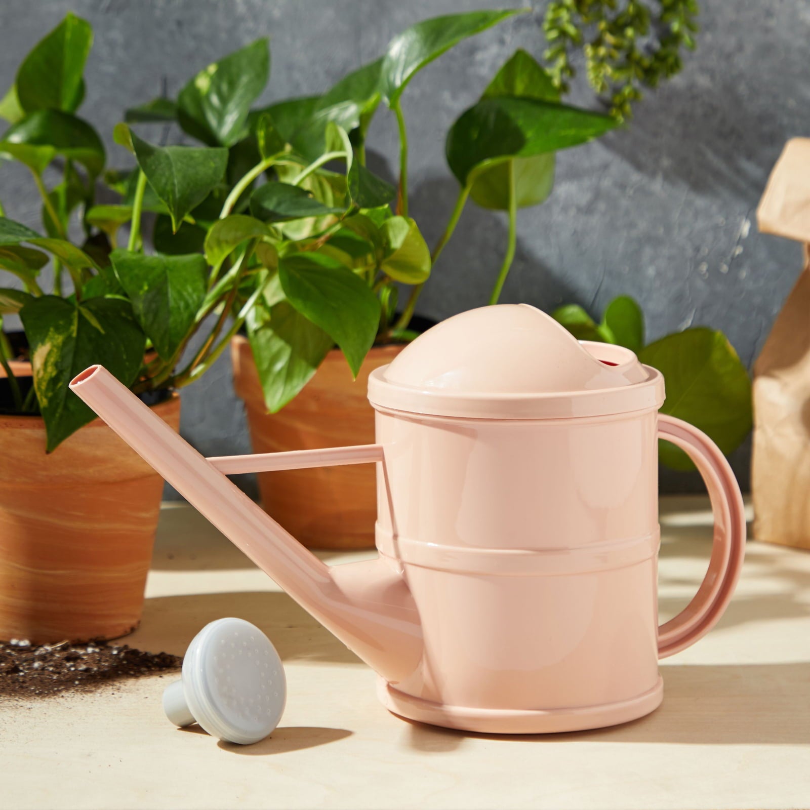 Pink Plastic Plant Watering Can Pot with Handle for Indoor Outdoor Garden, 0.40 Gal.