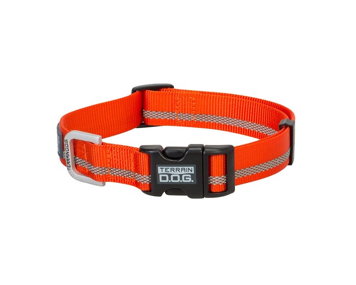 Terrain D.O.G. Reflective Snap-N-Go Adjustable Dog Collar， Medium， Orange 07-0856-R3