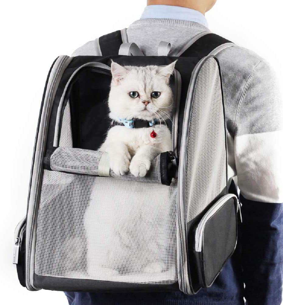 Texsens Pet Backpack Carrier for Small Cats Dogs | Ventilated Design, Safety Straps, Buckle Support, Collapsible | Designed for Travel, Hiking & Outdoor Use