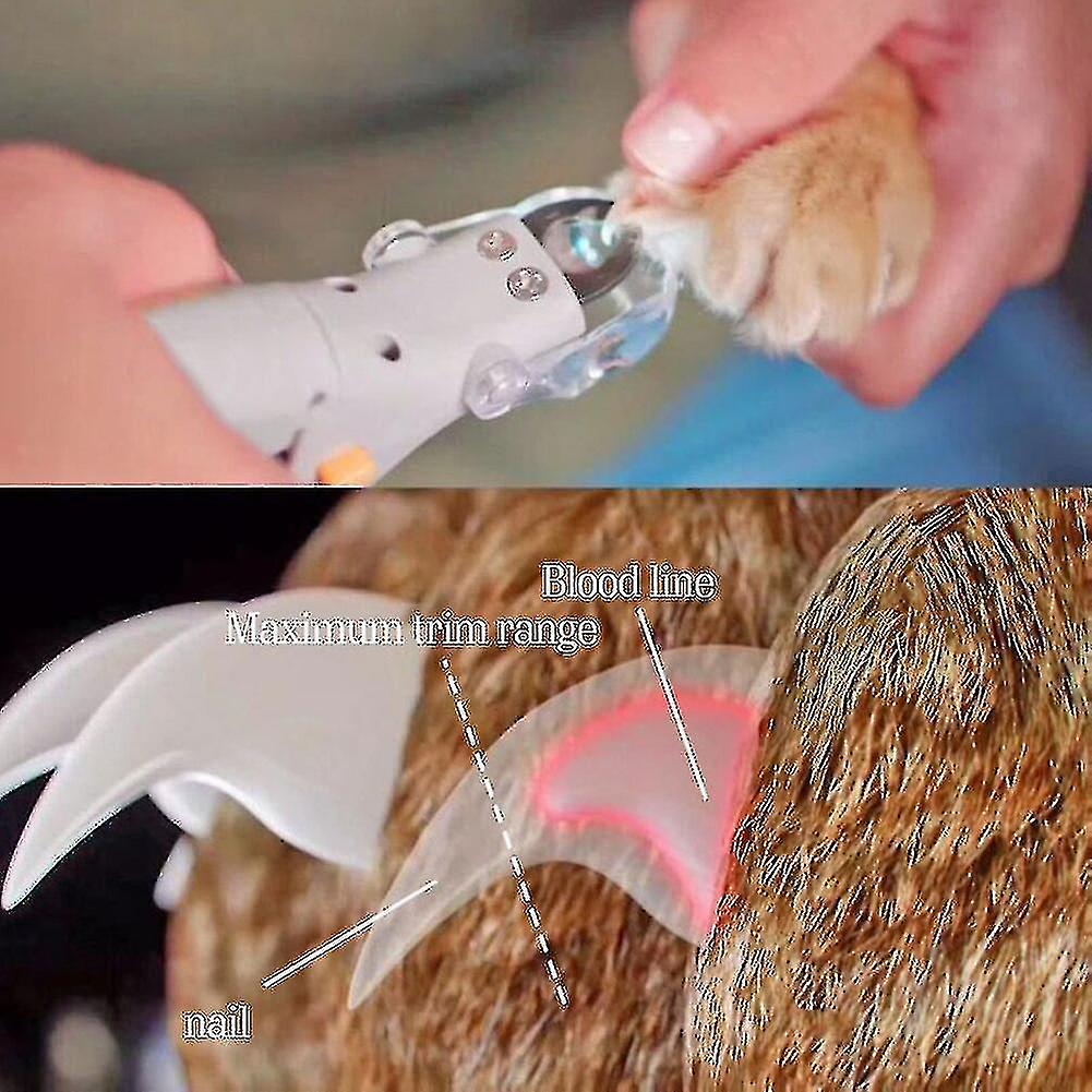 Professional Pet Nail Clipper Scissors Pet Dog Cat Nail Toe Claw Scissors Led Lamp Nail Trimmer Animal Pet Supplies(1pcs)