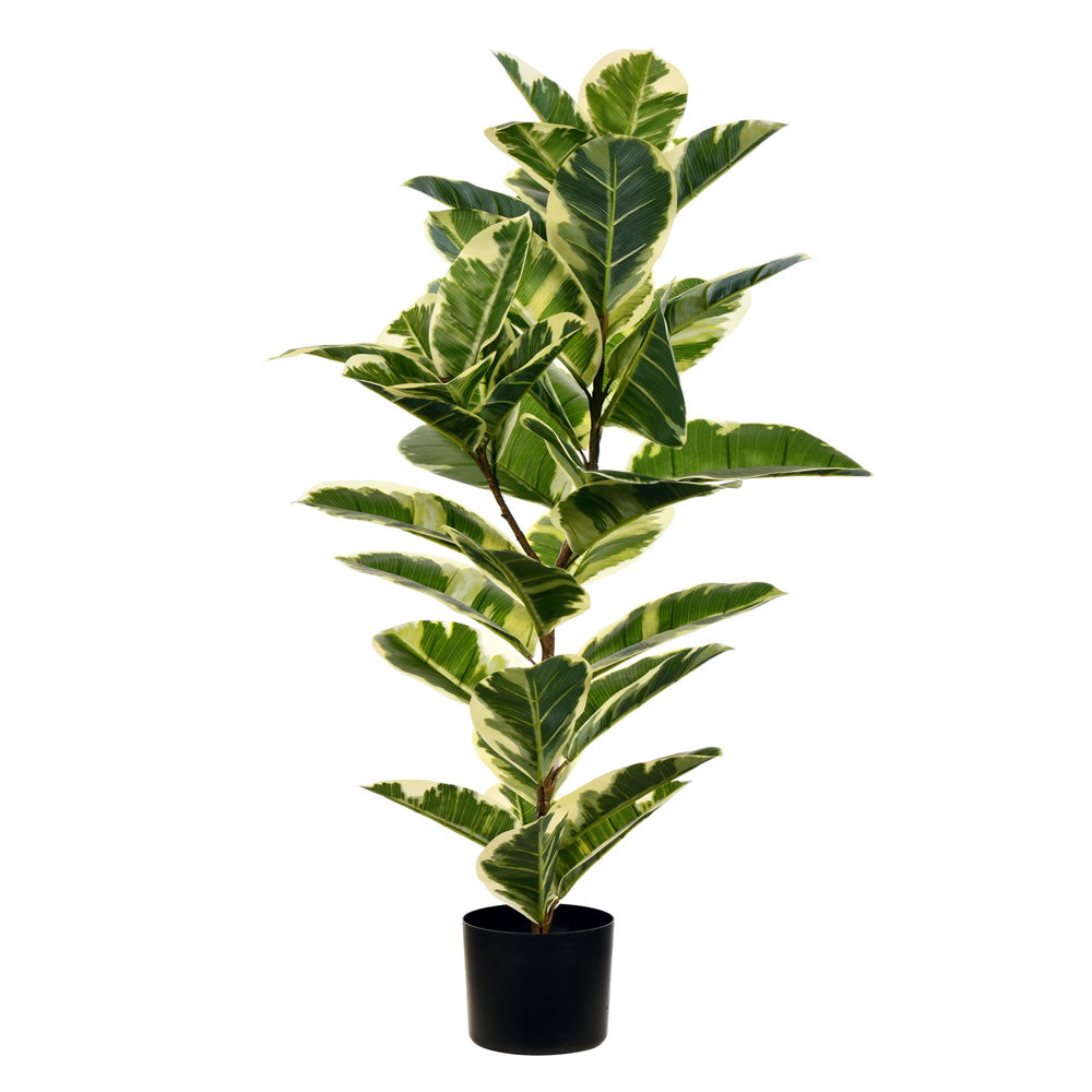 Artificial Plant : Potted Dieffenbachia Real Touch