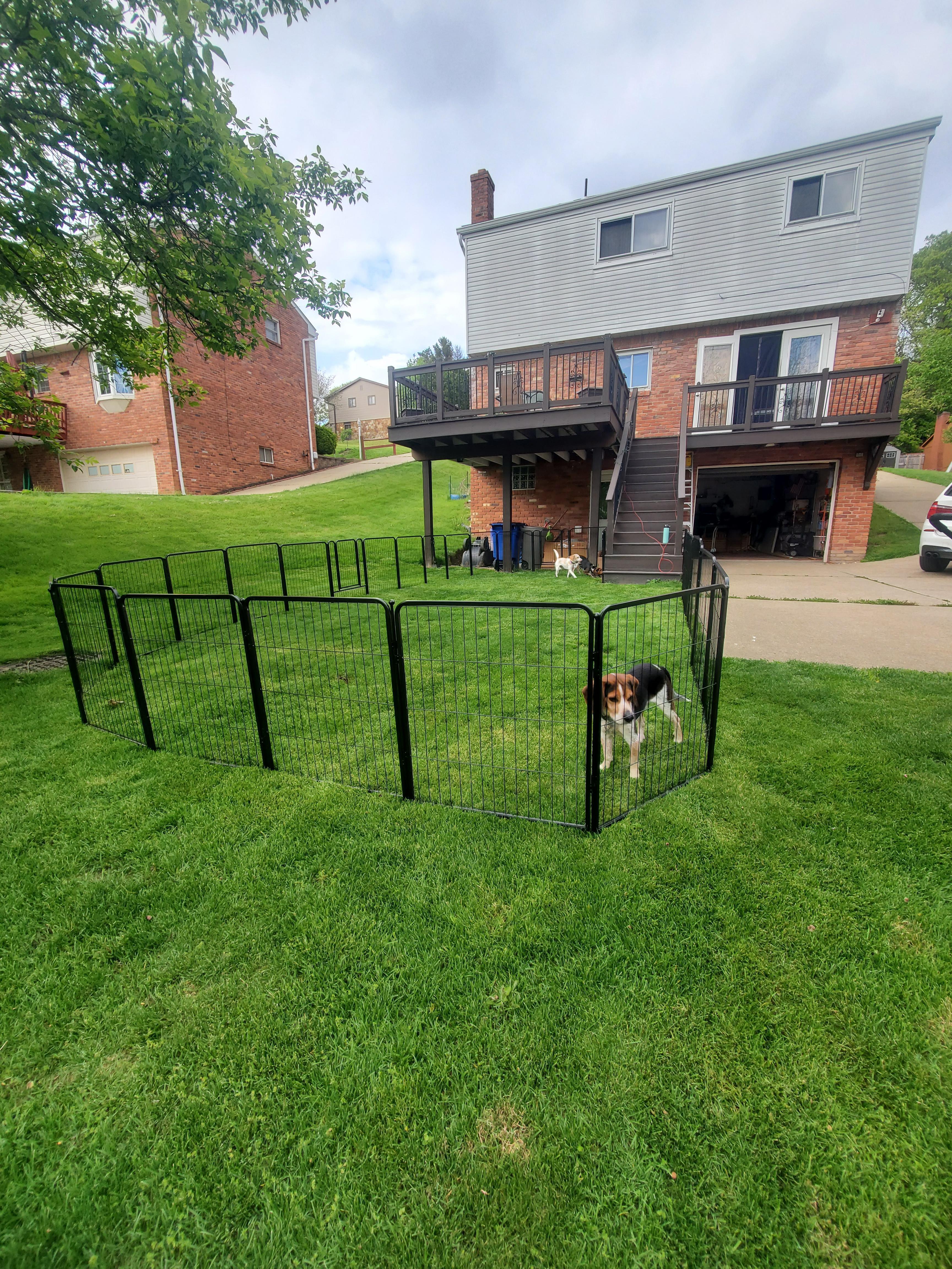 🐱Pet protection fence🐶🏞️