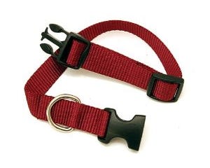 Scott Pet Adjustable Pet Collar， Extra Large - 1428