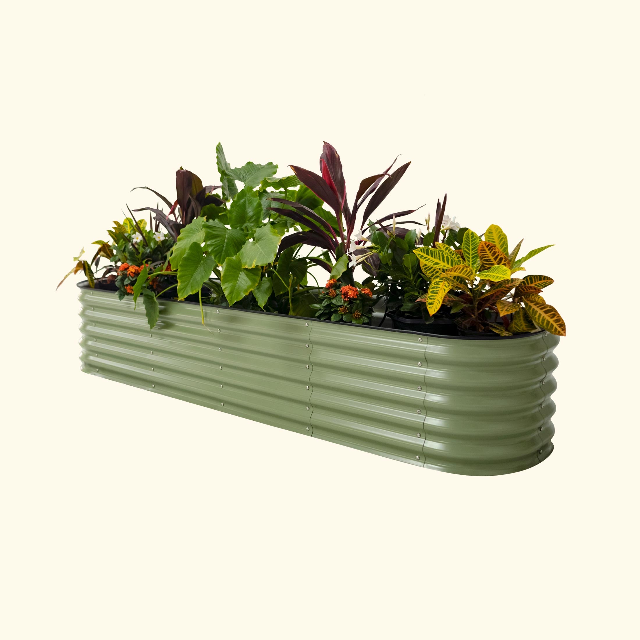 Self-Watering Garden Bed