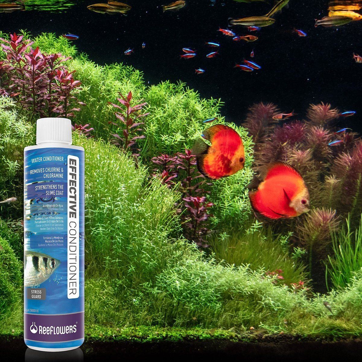  Reeflowers Effective Conditioner Stress Guard Aquarium Conditioner