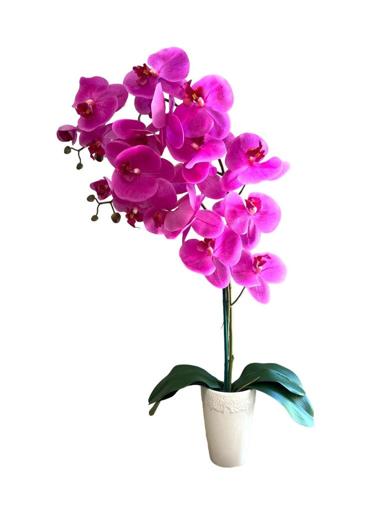 Stunning Artificial Orchids in Conical Pot