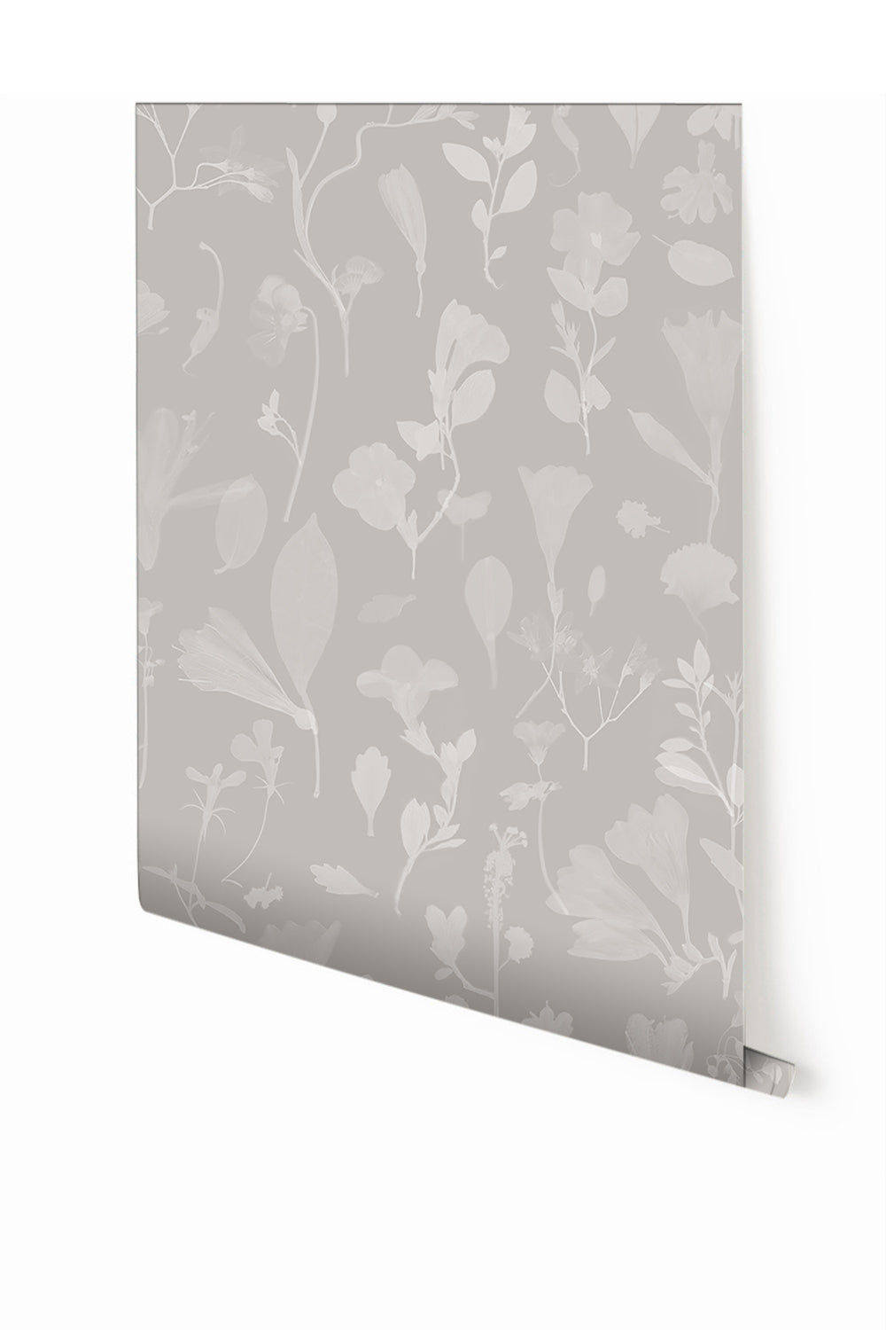 Botanic Bloom© Wallpaper in Grey