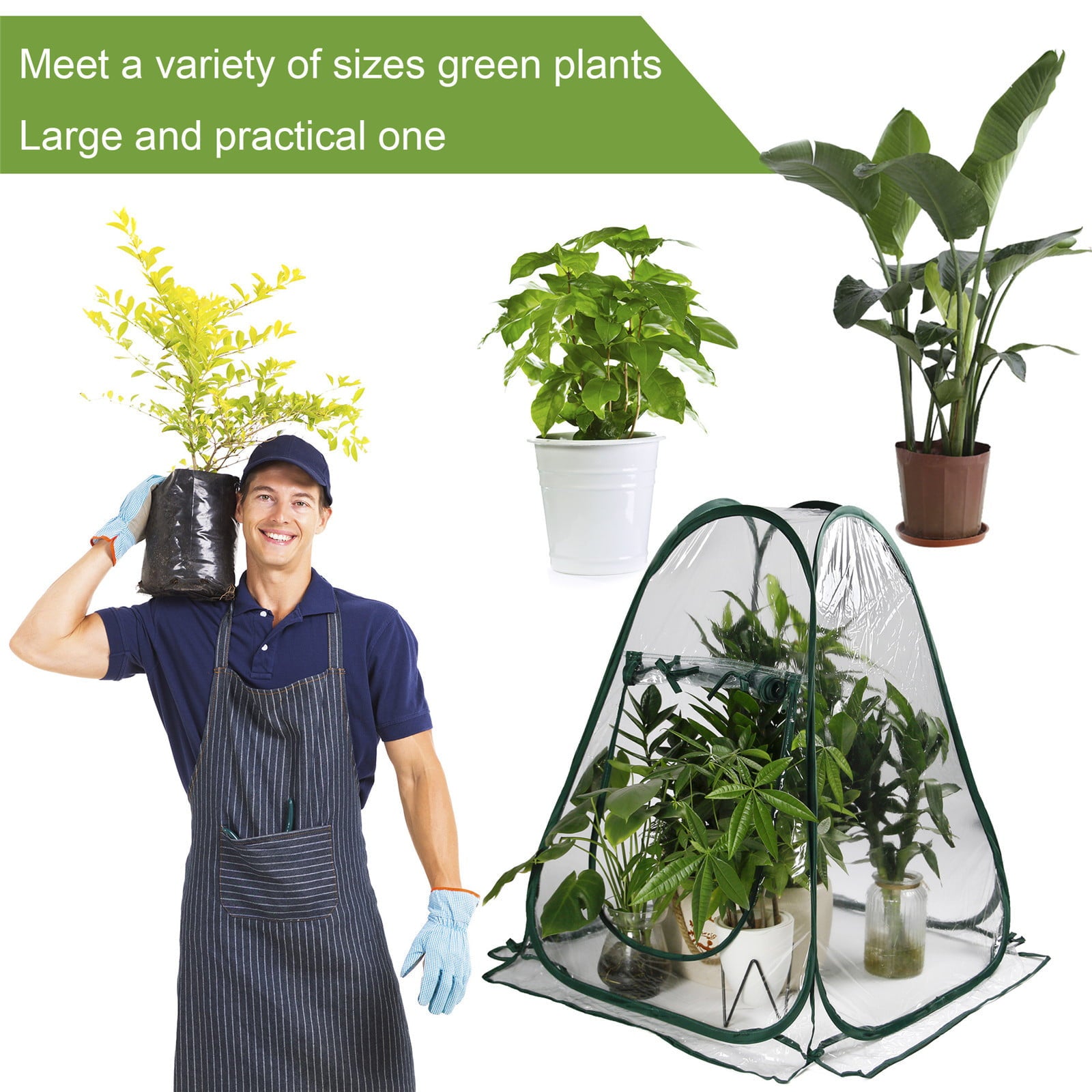 Bescita Minigreenhouse Plant Overwintering Tent Winter Protection Greenhouse