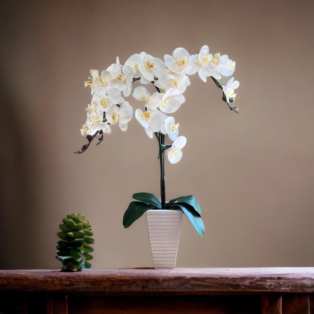 Stunning Artificial Orchids in Triangular Pot