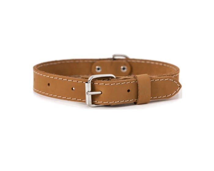 Euro Dog Soft Leather Dog Collar， Beige， X-Small - TXST