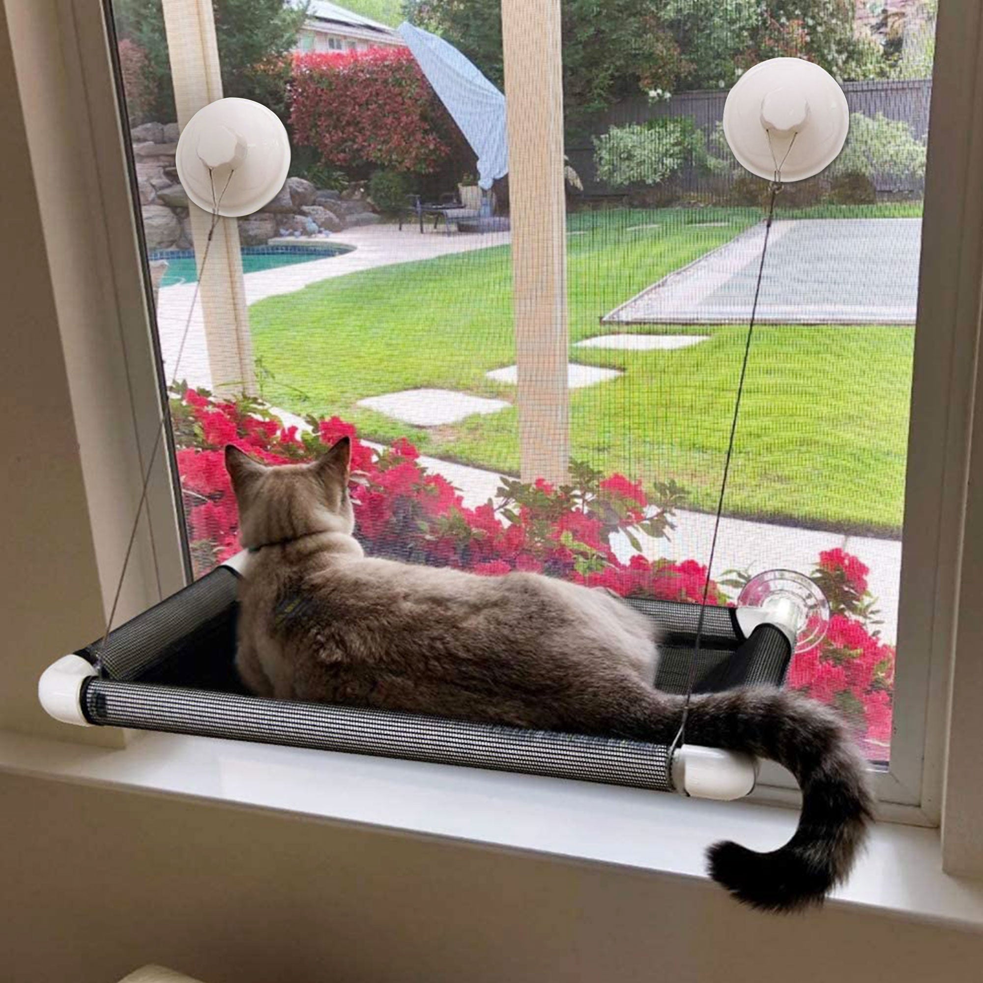 PUMYPOREITY Cat Window Perch， Cat hammocks with 4 Suction Cups， Cat Bed 360° Sunbathe， Cat Resting Seat， Breathable Mesh