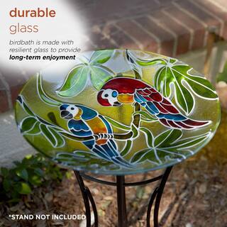Alpine Corporation 18 in. Round Outdoor Birdbath Bowl Topper with Colorful Painted Parrot Design KPP602T-18