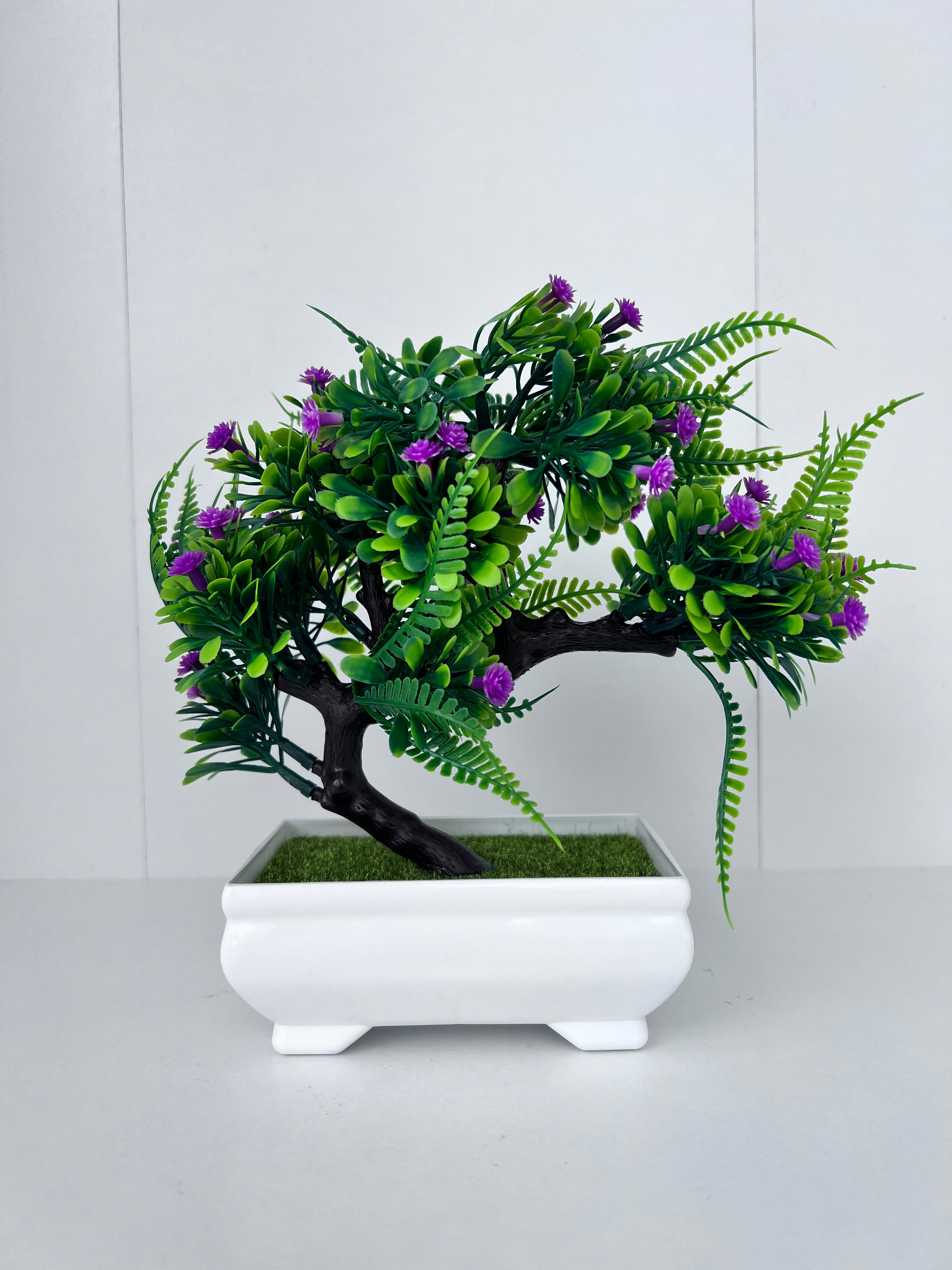 Gorgeous Bonsai with Very Attractive Pot -Excellent Gift...