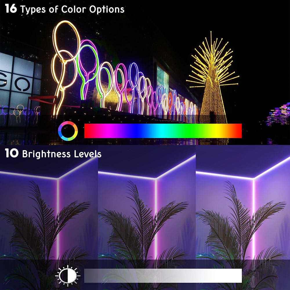 DELight Neon Rope Light Flexible 50ft 16 Colors & 4 Modes