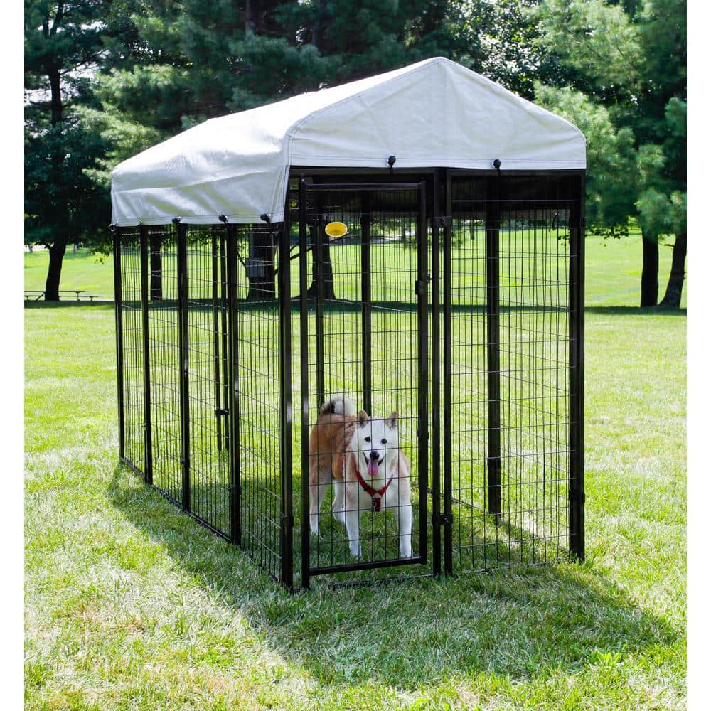 KennelMaster 4 ft. x 8 ft. x 6 ft. Welded Wire Dog Fence Kennel Kit DK648WC