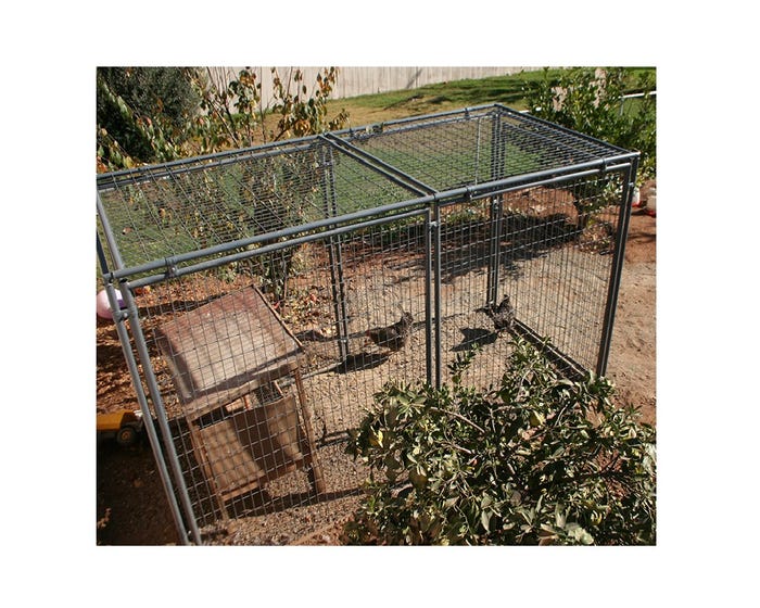 Rugged Ranch Welded Wire Top for 5 x 10 Galvanized Kennel - DG510GVWT
