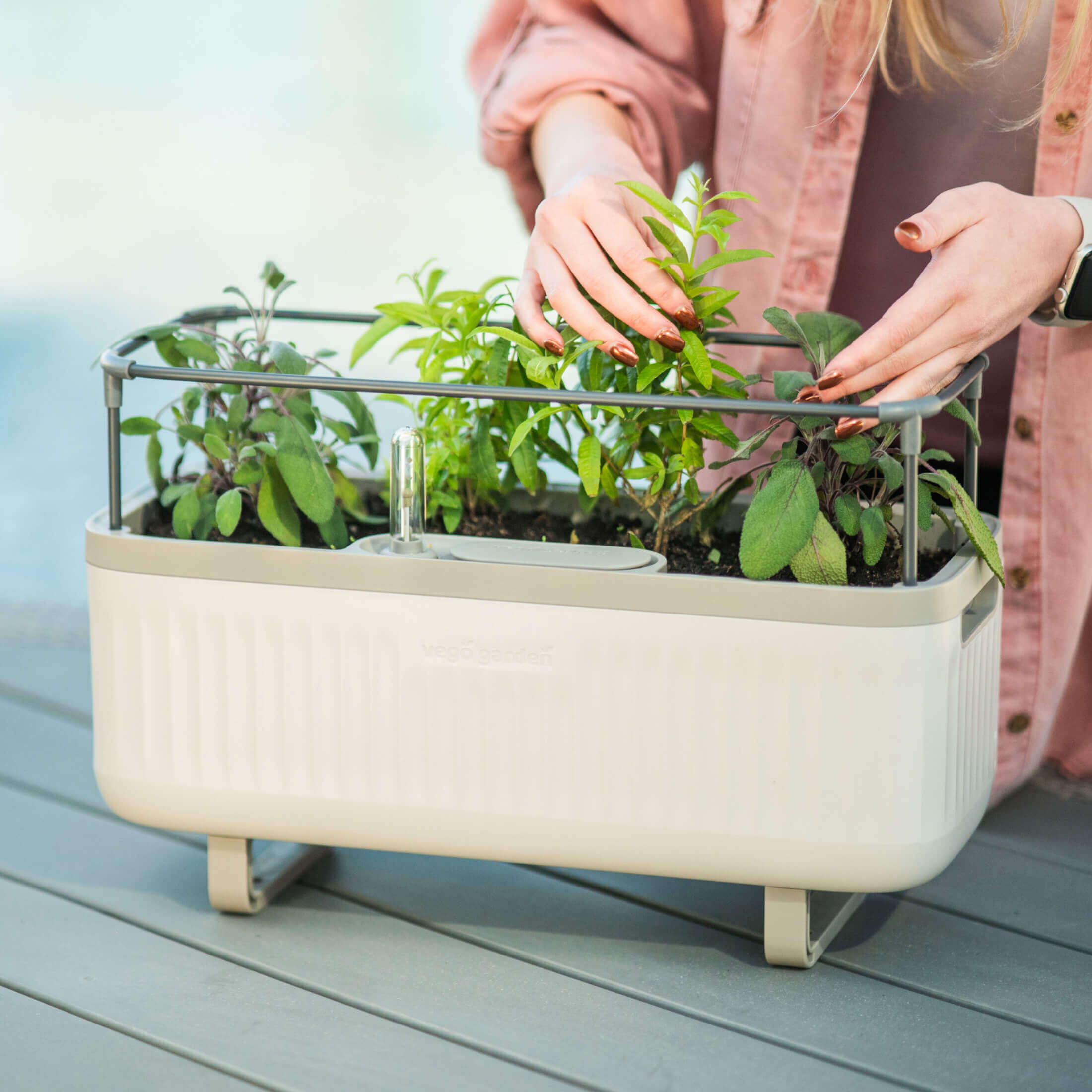 Self-Watering Herb Planter Box with Trellis