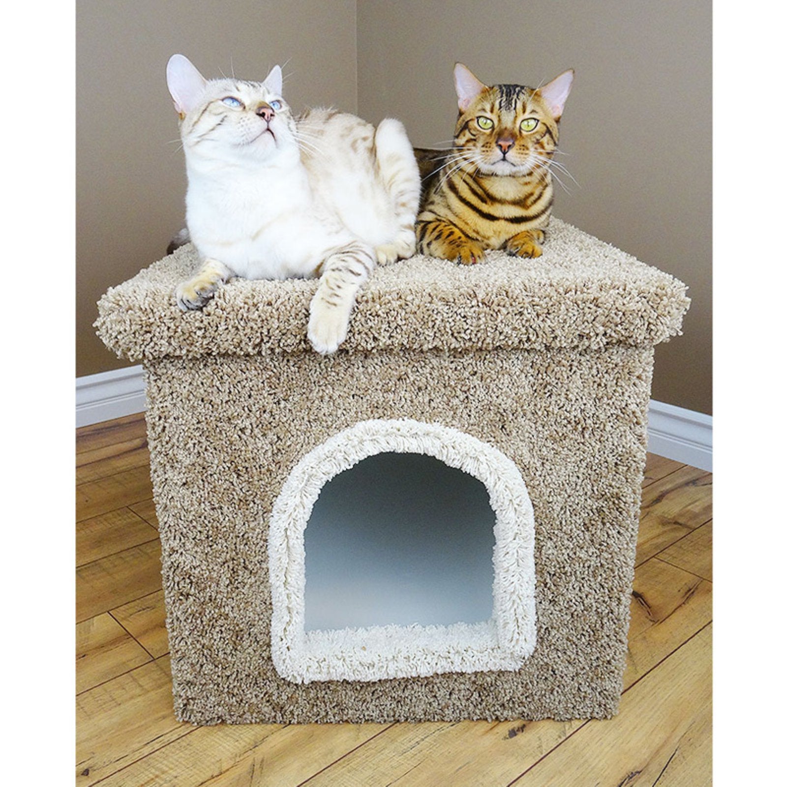 New Cat Condos Premier Litter Box Enclosure