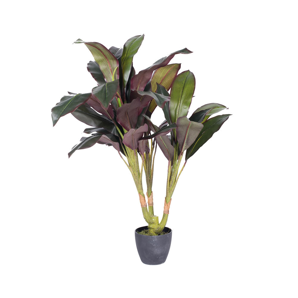 Artificial Plant : Real Touch Dracaena in pot