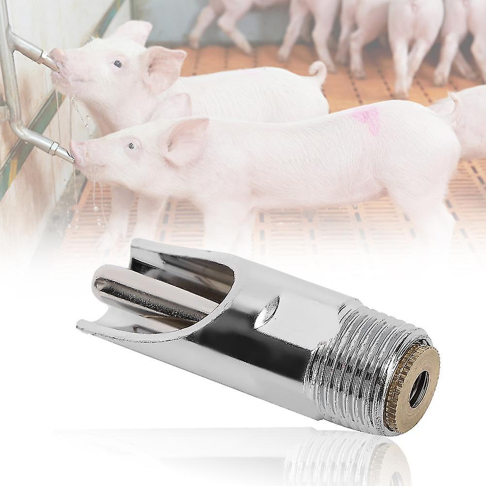5Pcs Flat Automatic Pig Drinker Removable Livestock Drinking Tool Pigs Farm Equipment