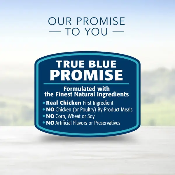 Blue Buffalo Life Protection 12.5 oz Chicken Natural Adult Wet Dog Food