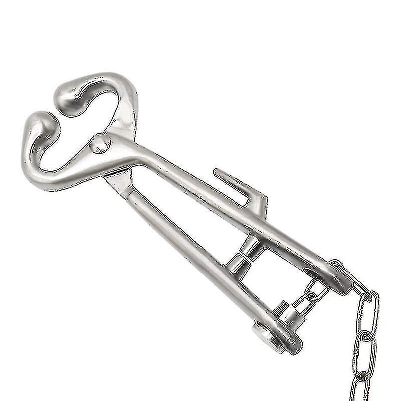 1 Pcs Farm Cattle Livestock Tool Stainless Steel Cow Nose Ring Pliers Bull Cattle Bovine With Chain