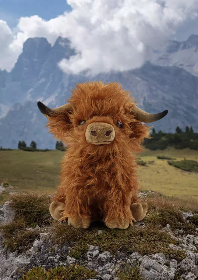 🔥 BIG SALE - 49% OFF🔥🔥🐂Eco-Friendly Scottish Highland Cow Soft Plush Toy