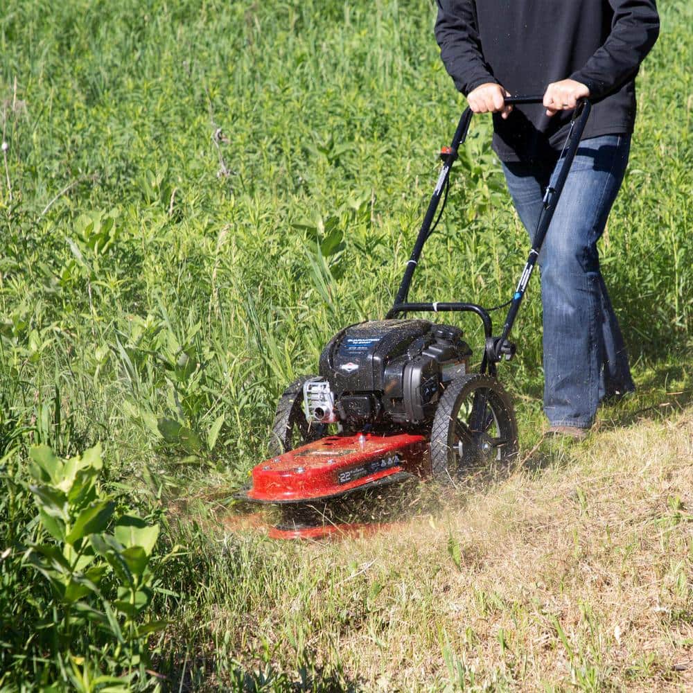 Toro 58620 22 in. 163cc Walk Behind String Mower， Cutting Swath with 4-Cycle Briggs and Stratton Engine
