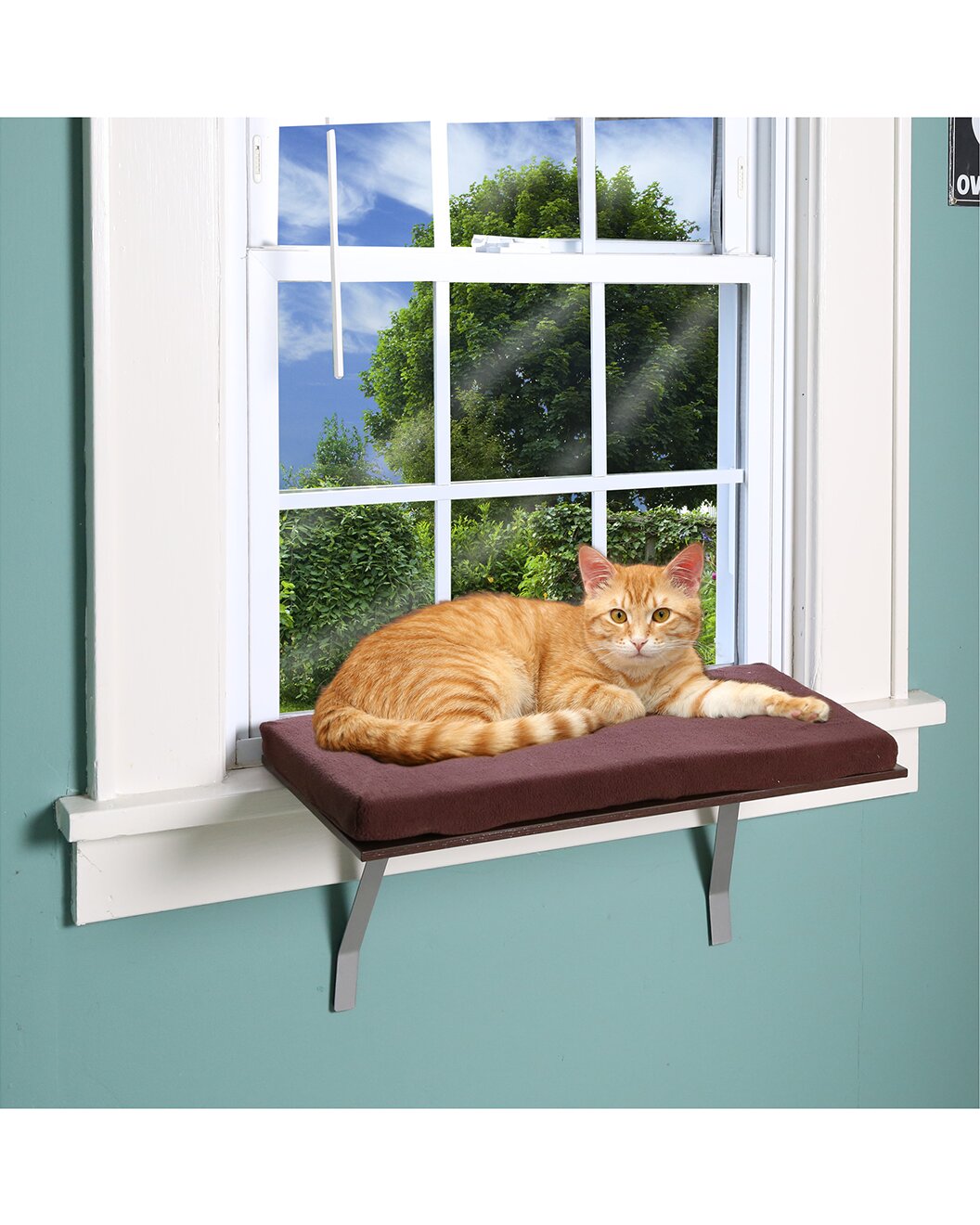 Cat Window Perch (Medium)
