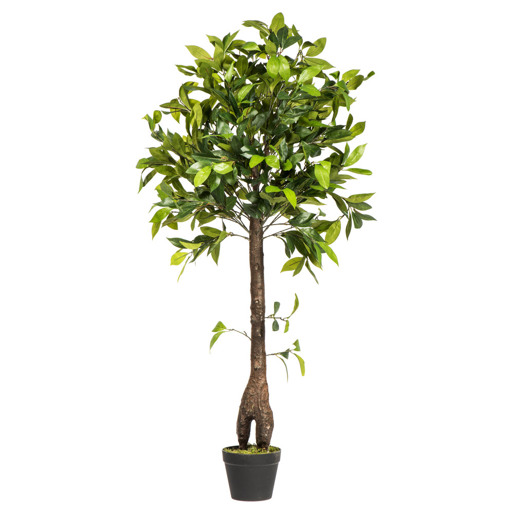 Artificial Plant : Camellia Tree in Pot