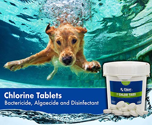 Rx Clear 1-Inch Stabilized Chlorine Tablets | One 8-Pound Bucket | Use As Bactericide, Algaecide, and Disinfectant in Swimming Pools and Spas | Slow Dissolving and UV Protected