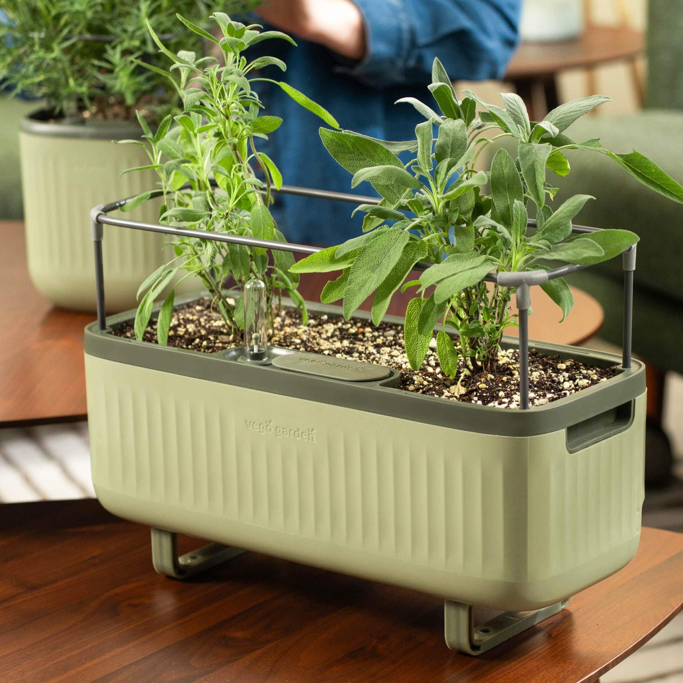 Self-Watering Herb Planter Box with Trellis