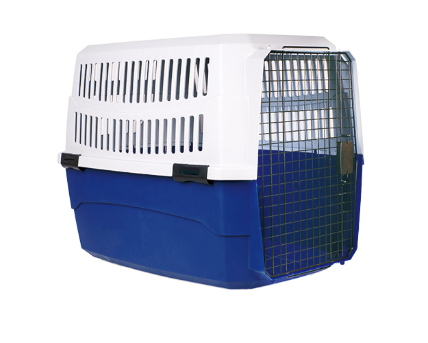 Iconic Pet Pawings Transport Crate， Medium - 52492