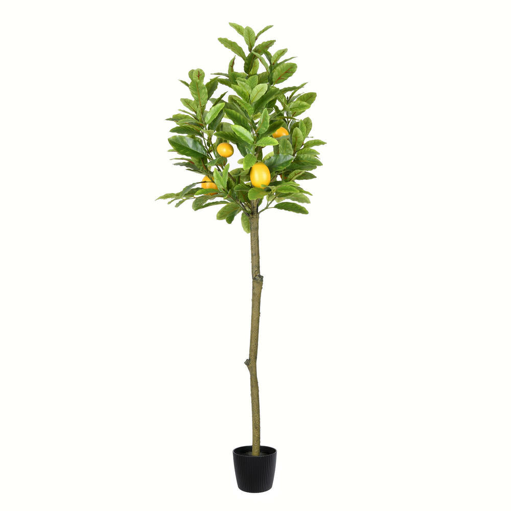 Artificial Plant : Potted Lemon Tree