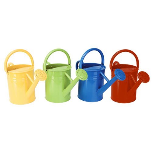 Panacea Watering Can