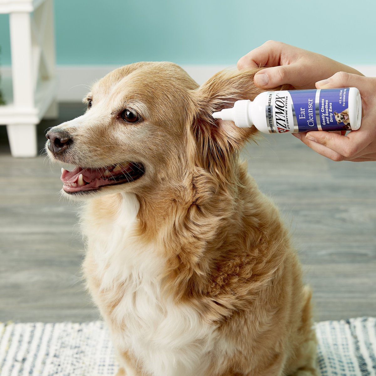 Zymox Veterinary Strength Dog and Cat Ear Cleanser
